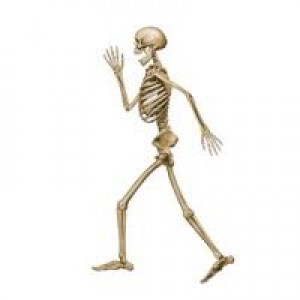 Halloween Party Supplies Skeleton Cutout