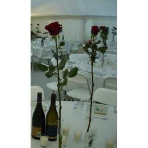 Bud Vase with Red Rose