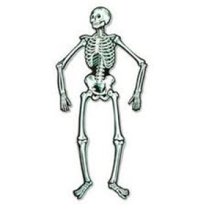 Halloween Party Supplies Skeleton