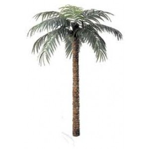 Palm Tree 1.9m