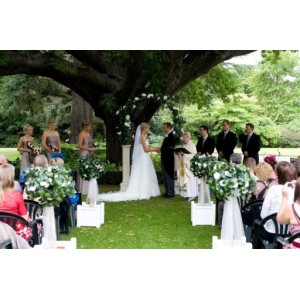 Topiary Tree Hire - click for more info